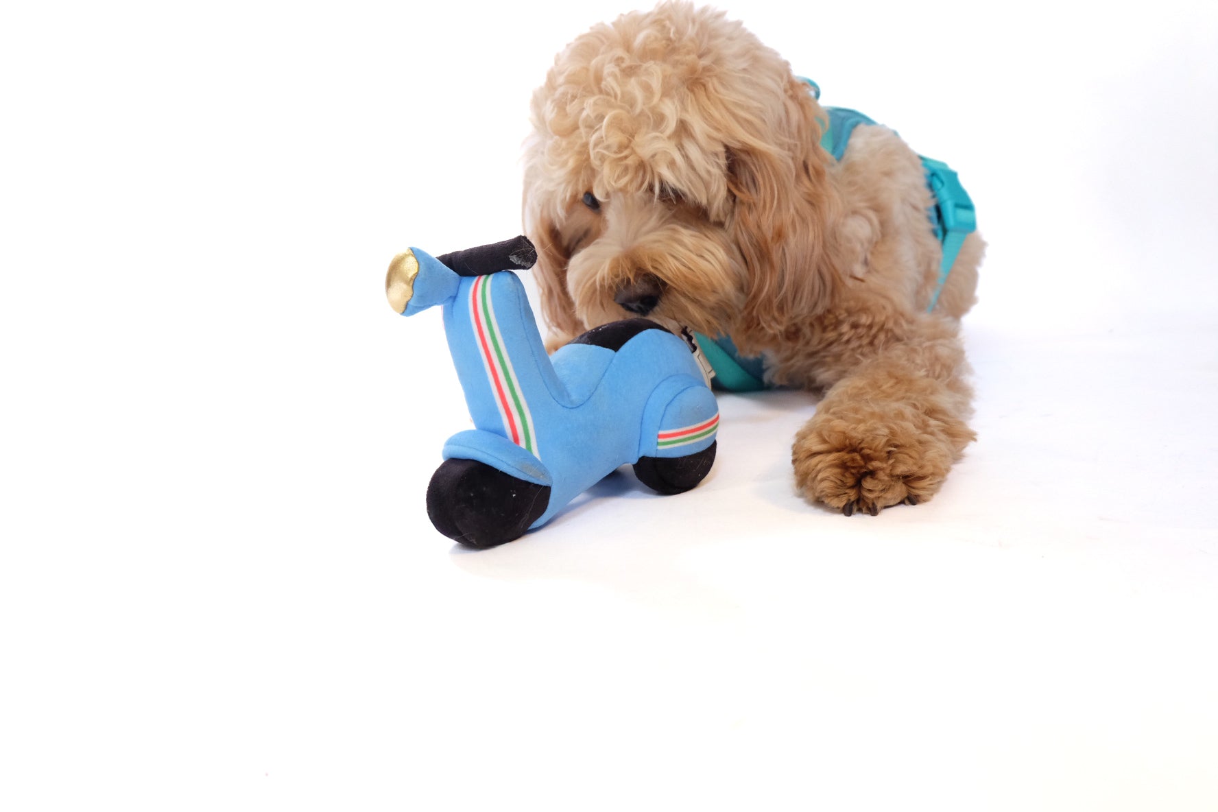 Scooter Pet Plush Toy - Doot's Pet LLC Collars For A Cause