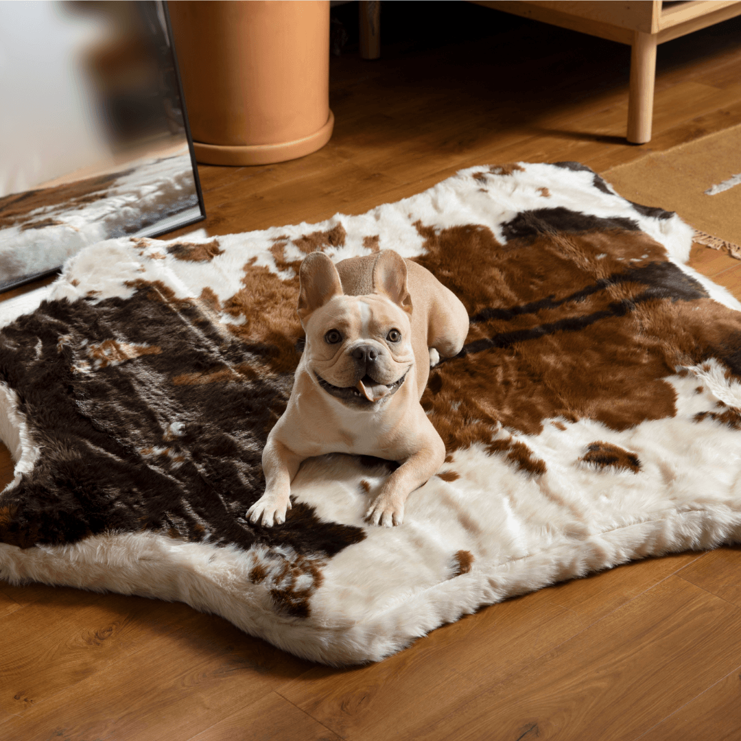 PupRug® Animal Print Memory Foam Dog Bed - Brown Faux Cowhide - Doot's Pet LLC Collars For A Cause