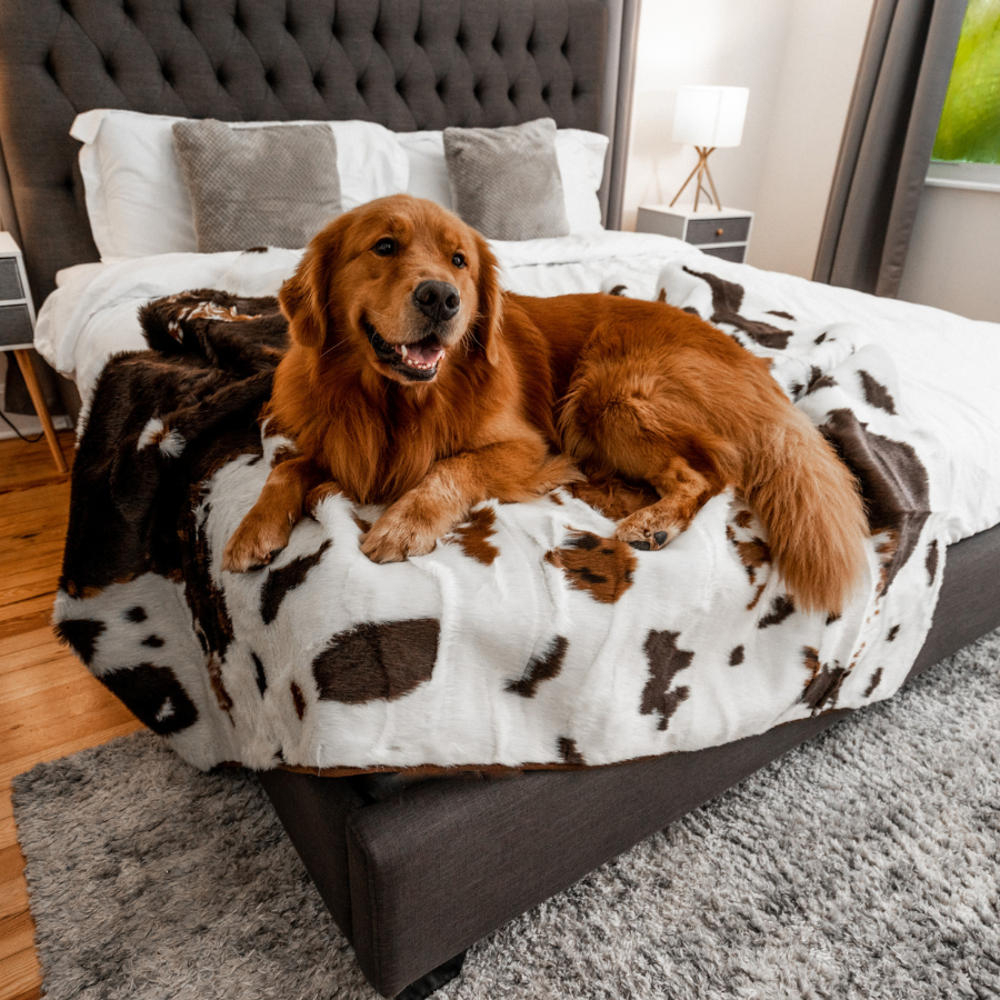 PupProtector™ Waterproof Throw Blanket - Brown Faux Cowhide - Doot's Pet LLC Collars For A Cause