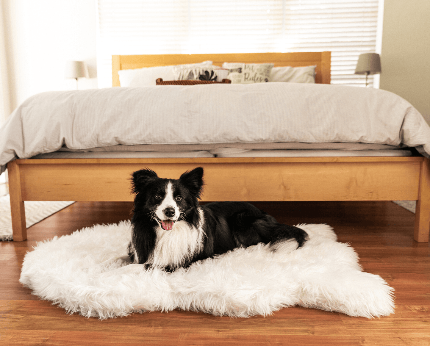 PupRug by Paw.com® Faux Fur Orthopedic Dog Bed - Curve Polar White - Doot's Pet LLC Collars For A Cause