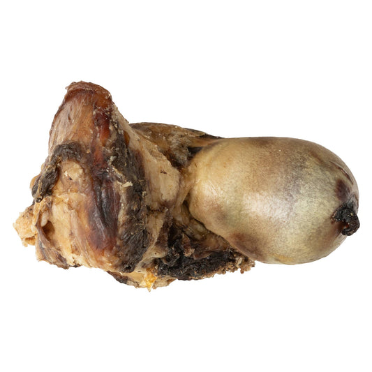 Jojo Modern Pets - Beef Saddle Knuckle | All-Natural Dog Chew Treat