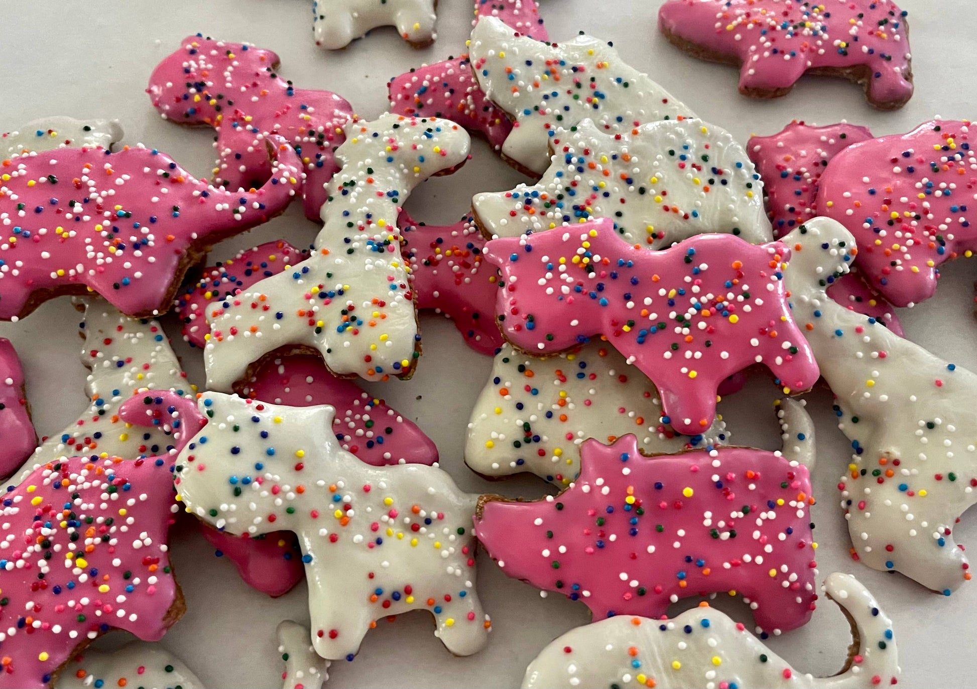 YumYum4DOGS - Mini PAWTY Animal Crackers dog treat- Single - Doot's Pet LLC Collars For A Cause