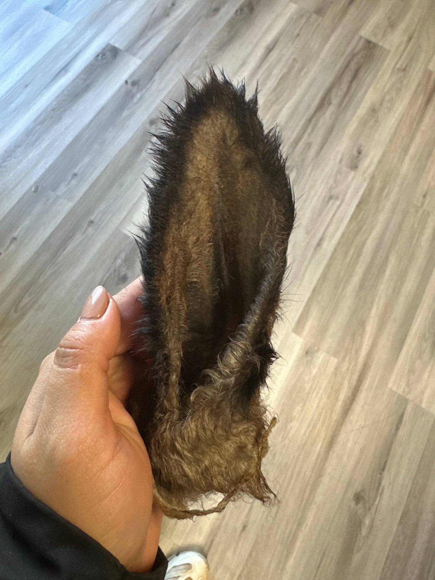 Doot's Chew Bar - Lamb Ear