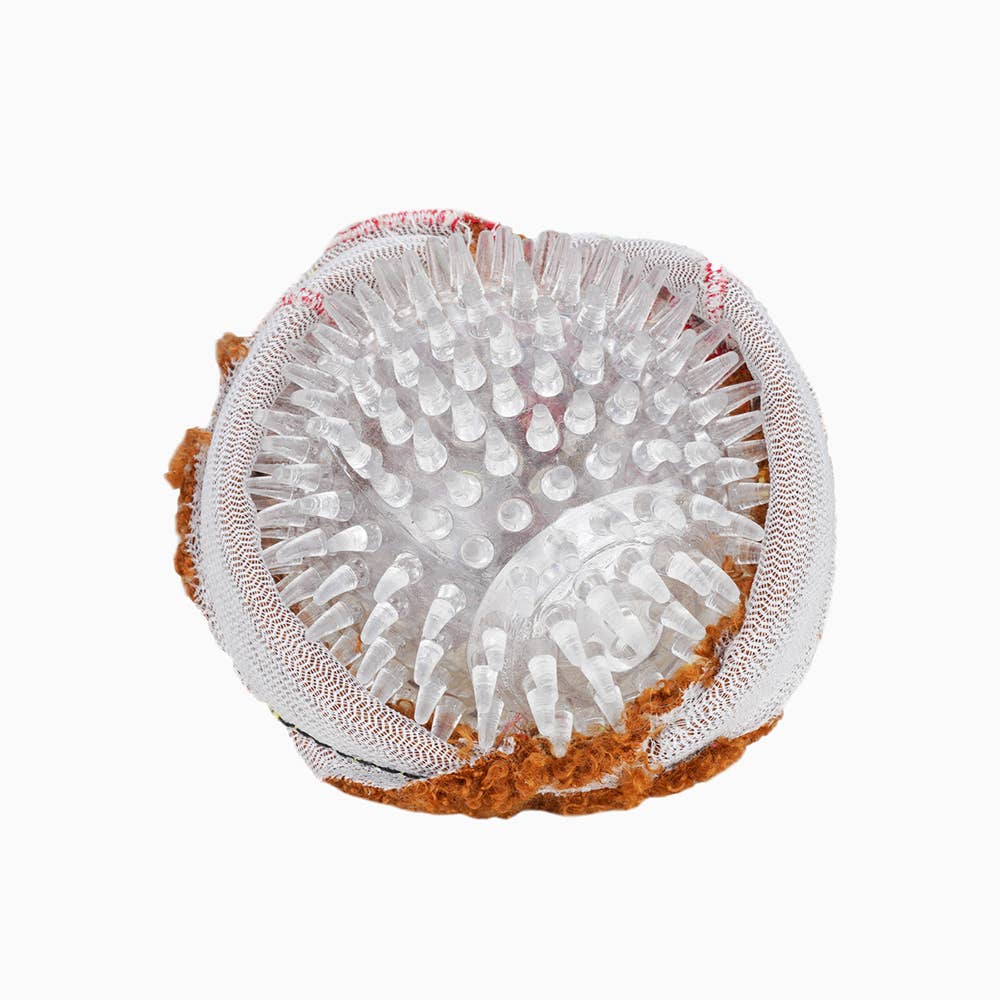 Hugsmart Products Inc - HugSmart Pet - Food Party | Spaghetti Meatball - Ball Toy