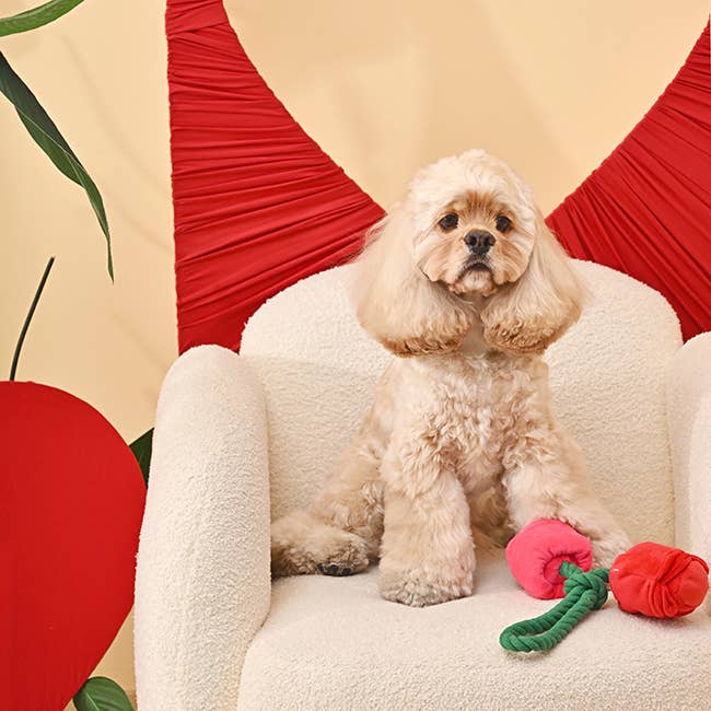 Hugsmart Products Inc - HugSmart Pet - Woof Love  | Vday Rose - Dog Rope Toy