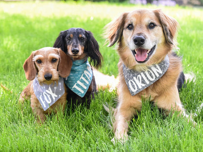 "I do too" Wedding or Engagement Dog Bandana
