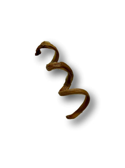 Healthy Dog Chews - Pork Pizzle Springs 6" (PE0106PS) -Single