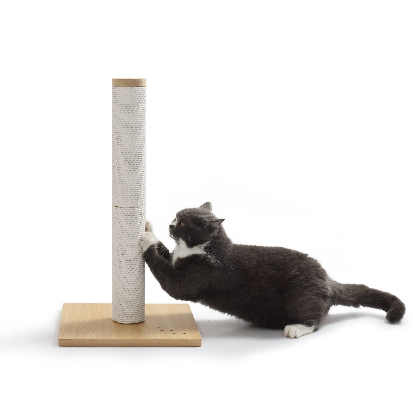MOON-X USA, INC. - Premium Comfort Scratching Post - Oak / Large