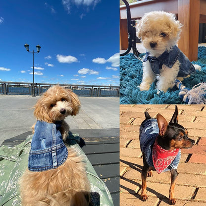 Pet Dog Cat Blue Denim Jeans Jacket Coat Vest - Doot's Pet LLC Collars For A Cause