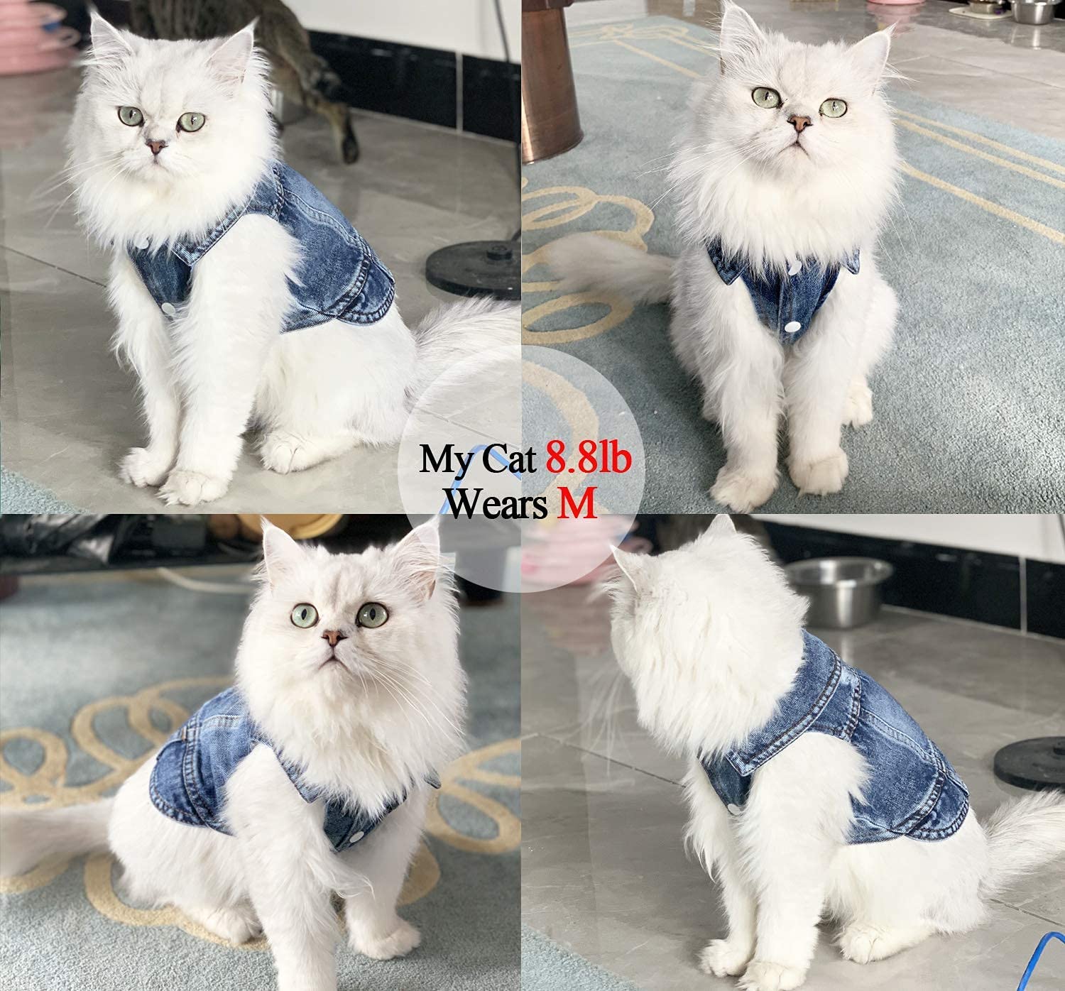 Pet Dog Cat Blue Denim Jeans Jacket Coat Vest - Doot's Pet LLC Collars For A Cause