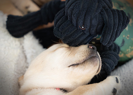 HuggleCause™, Warrior Canine Connection, Black Lab Luke Knottie® Plush Dog Toy, Large