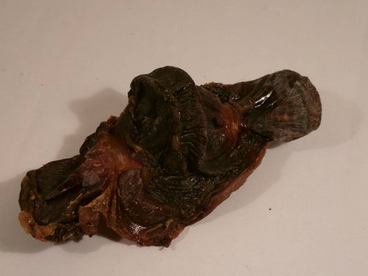 Doot's Chew Bar - Turkey Gizzard Whole Dehydrated