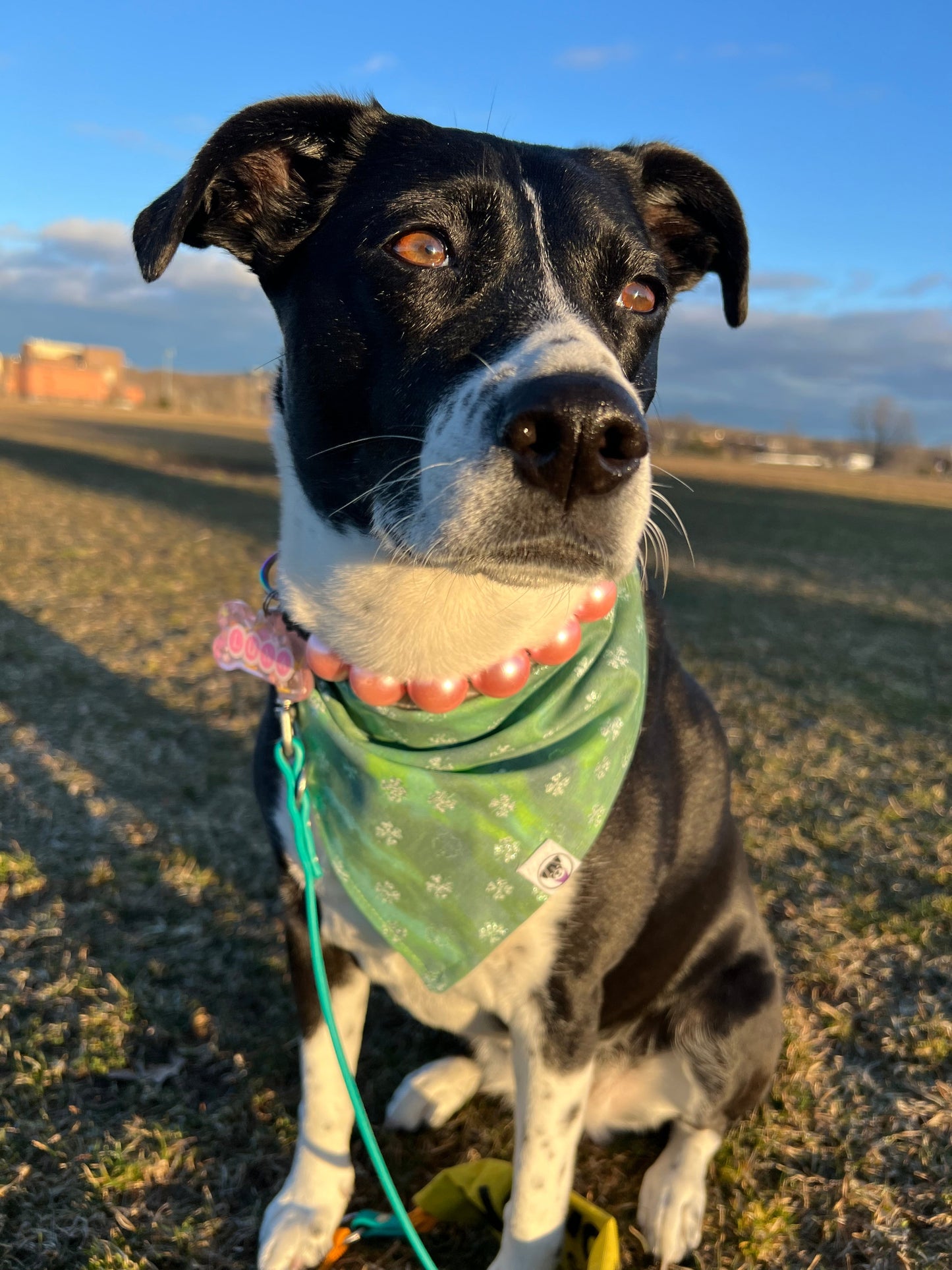 St. Patricks Day Dog Bandana Tie And Snap Tie Dye Shamrock