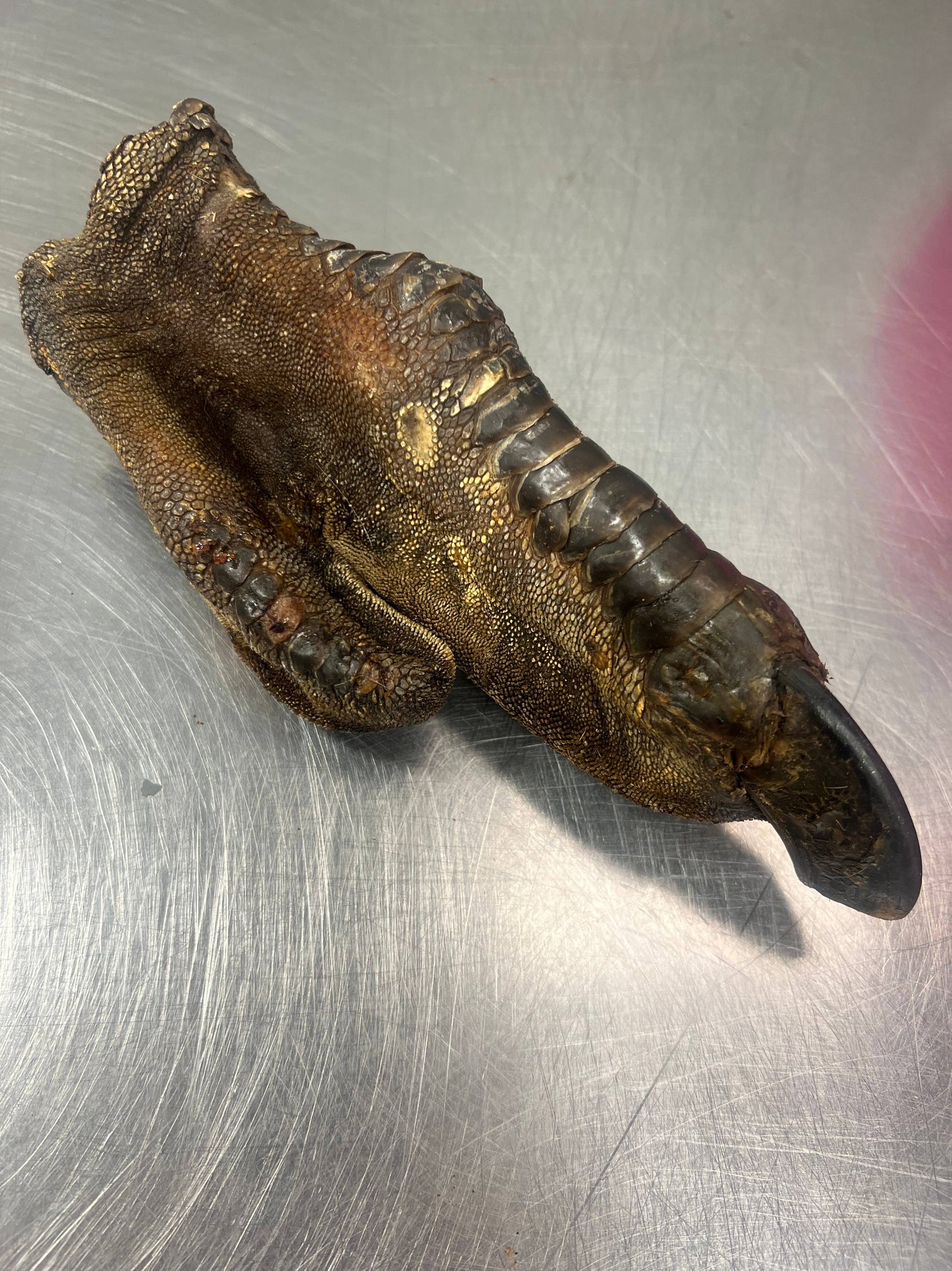 Doot's Chew Bar - What the raw - Ostrich Foot