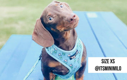 Mina + Pup - Blue Pupshake Adjustable Dog or Cat Harness