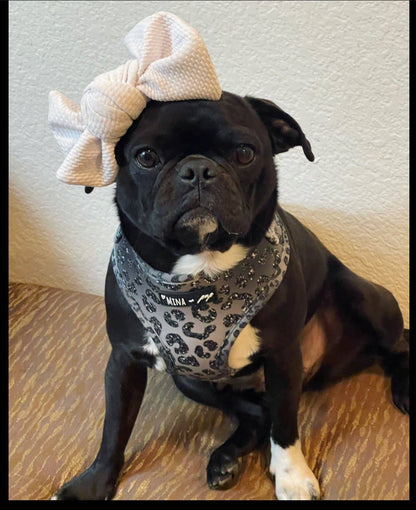 Mina + Pup - YOU’RE SO GLAM ADJUSTABLE SILVER OMBRE DOG CAT HARNESS - XXS