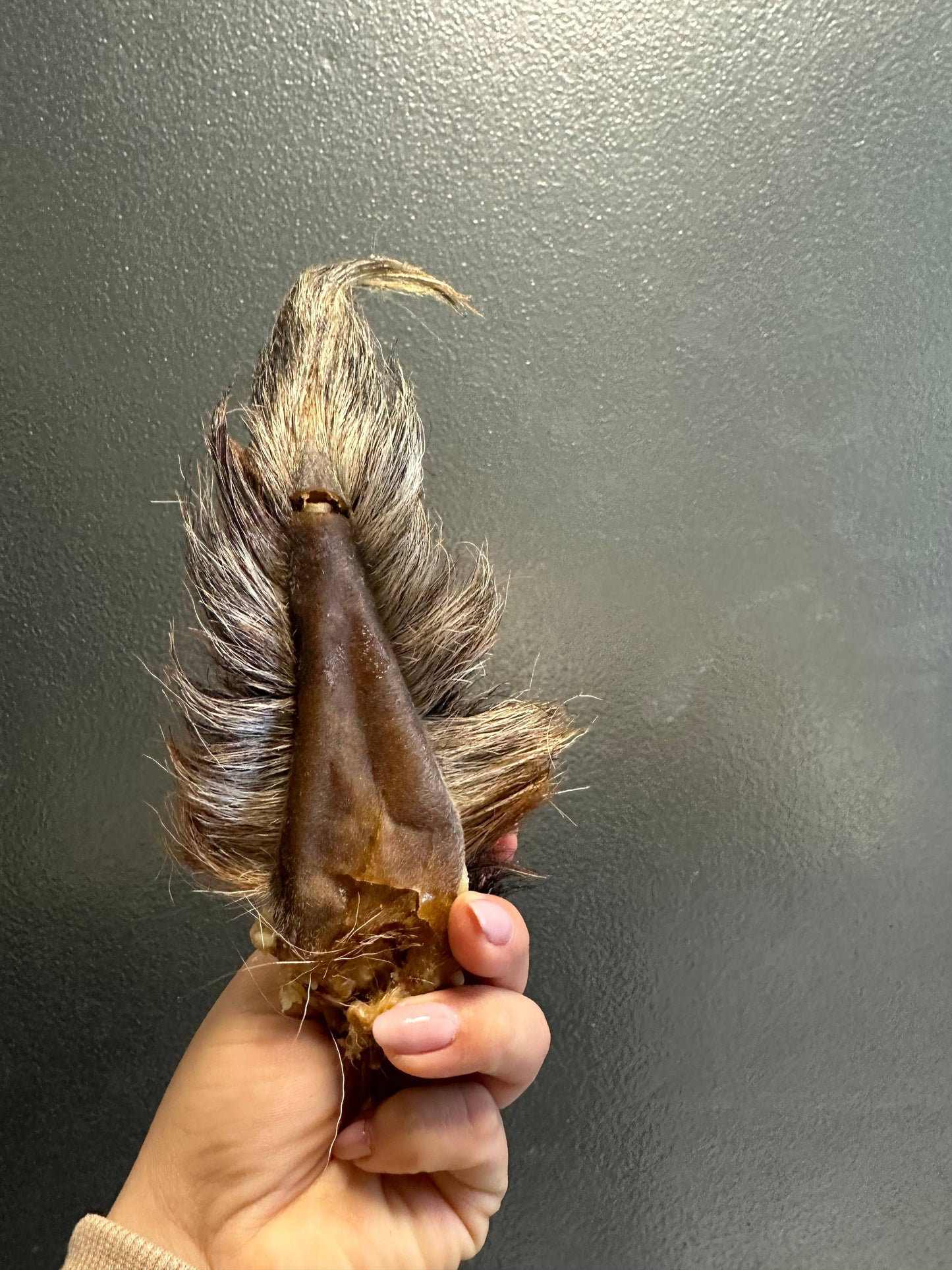 Doot's Chew Bar - Goat Tail 
