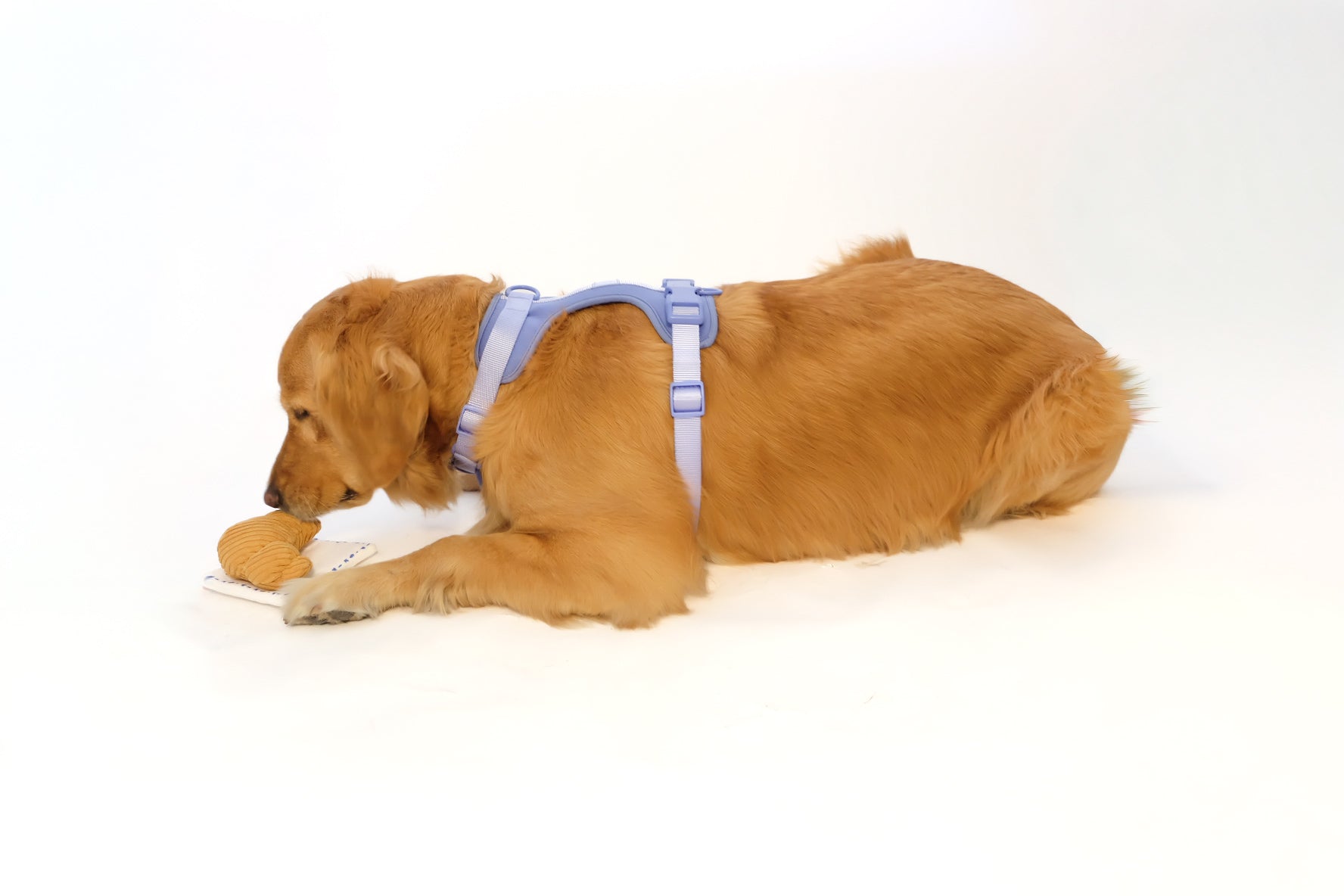Croissant Nose Work Toy / Enrichment Toy - Doot's Pet LLC Collars For A Cause