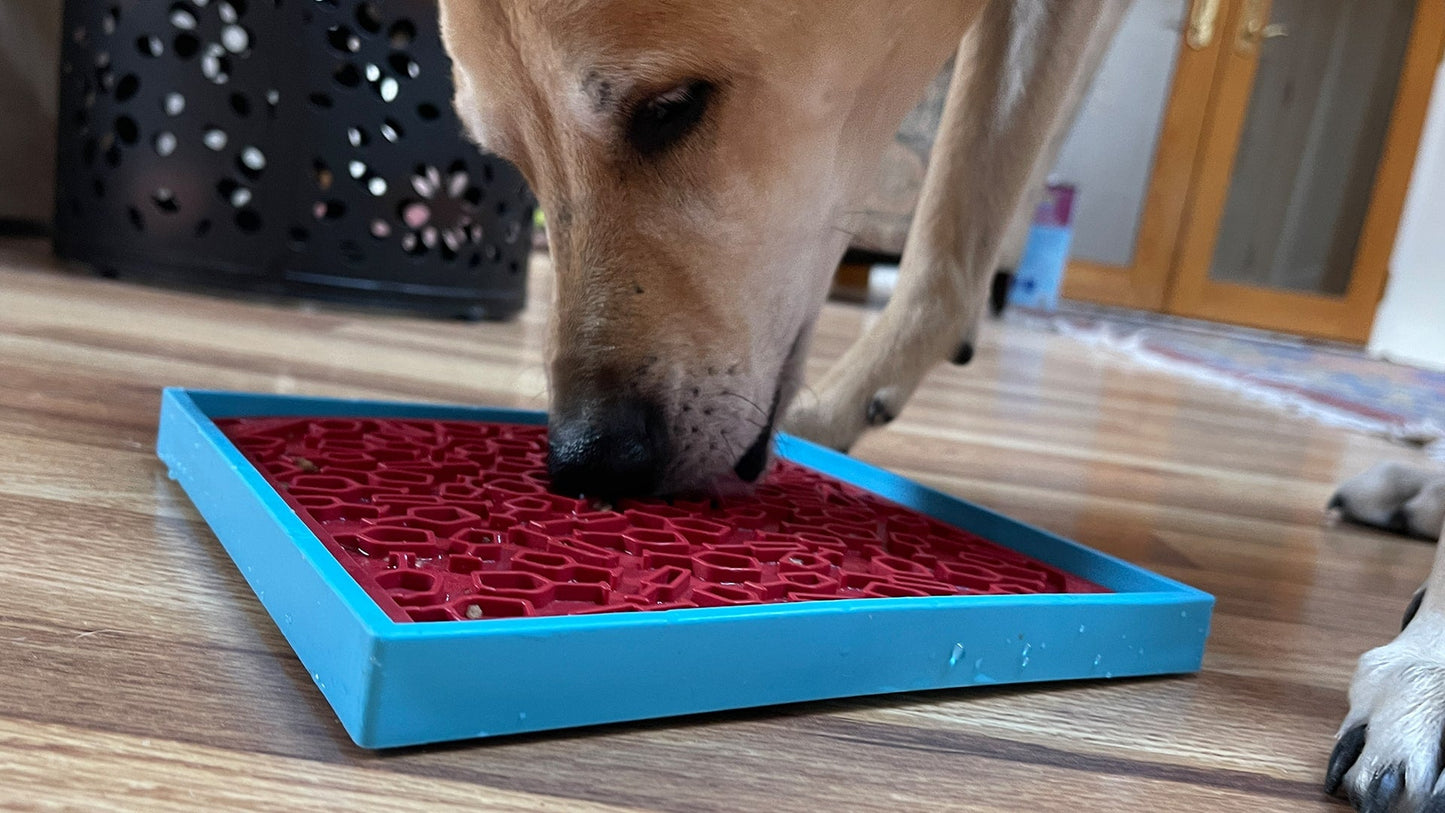Vino Dog eMat - Enrichment Lick Mat For Dogs and Cats | Wine-Inspired Design| SodaPup - Doot's Pet LLC Collars For A Cause