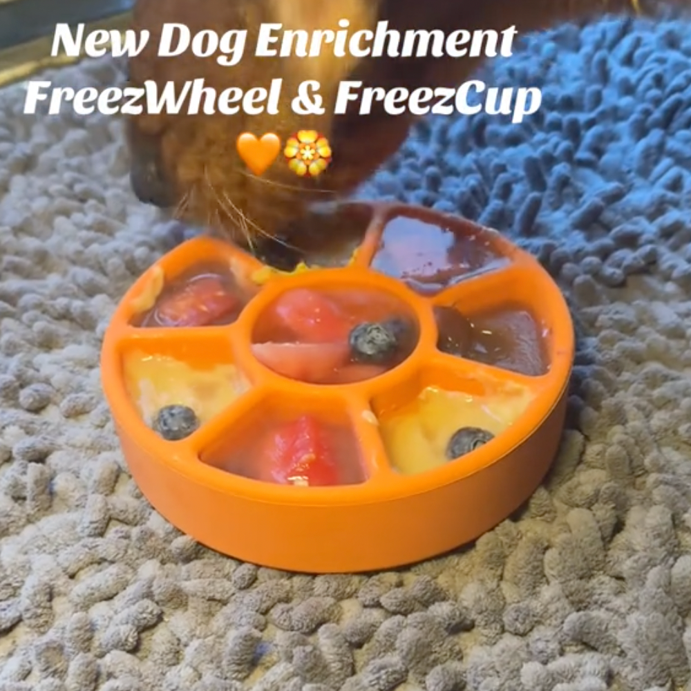 FreezWheel - Durable Interactive Chew - Doot's Pet LLC Collars For A Cause
