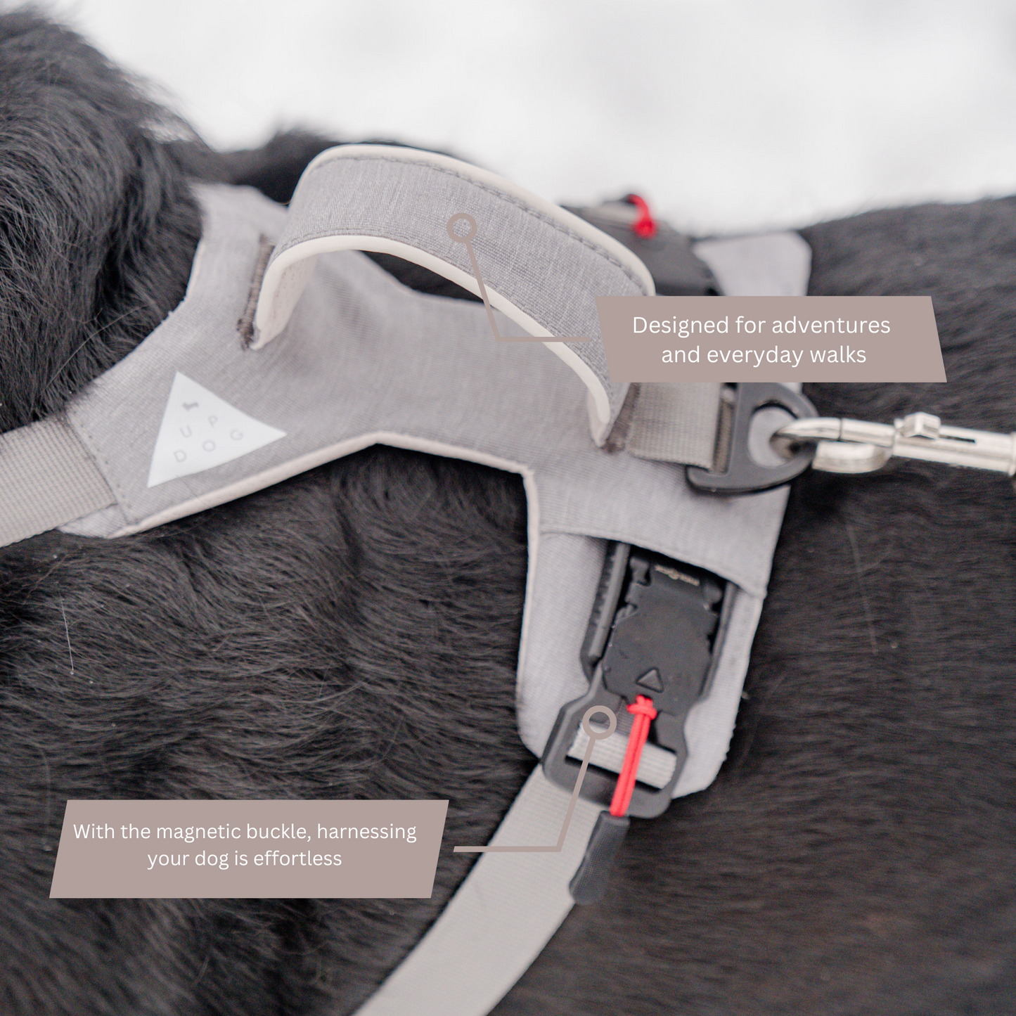 Magnetic Dog Harness - Doot's Pet LLC Collars For A Cause