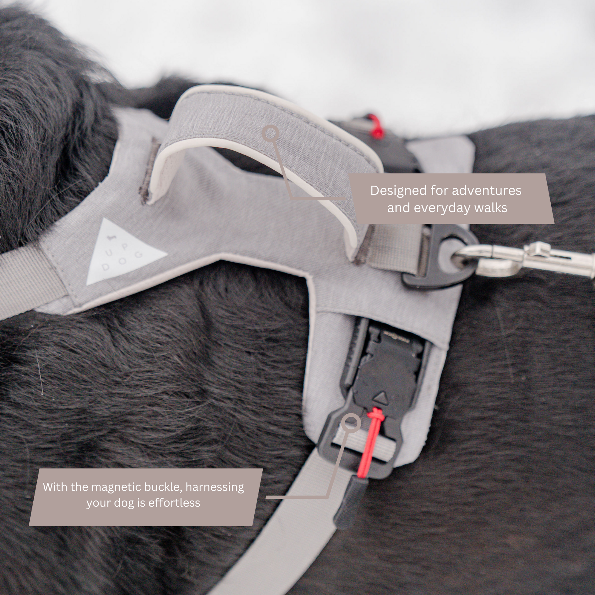 Magnetic Dog Harness - Doot's Pet LLC Collars For A Cause