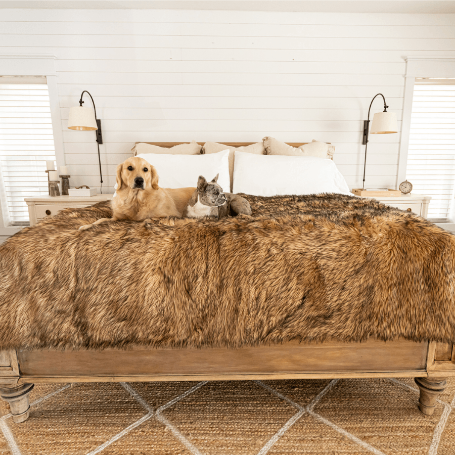 PupProtector™ Waterproof Throw Blanket - Sable Tan - Doot's Pet LLC Collars For A Cause