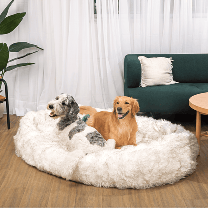 PupCloud™ Human-Size Faux Fur Memory Foam Dog Bed - White with Brown Accents - Doot's Pet LLC Collars For A Cause
