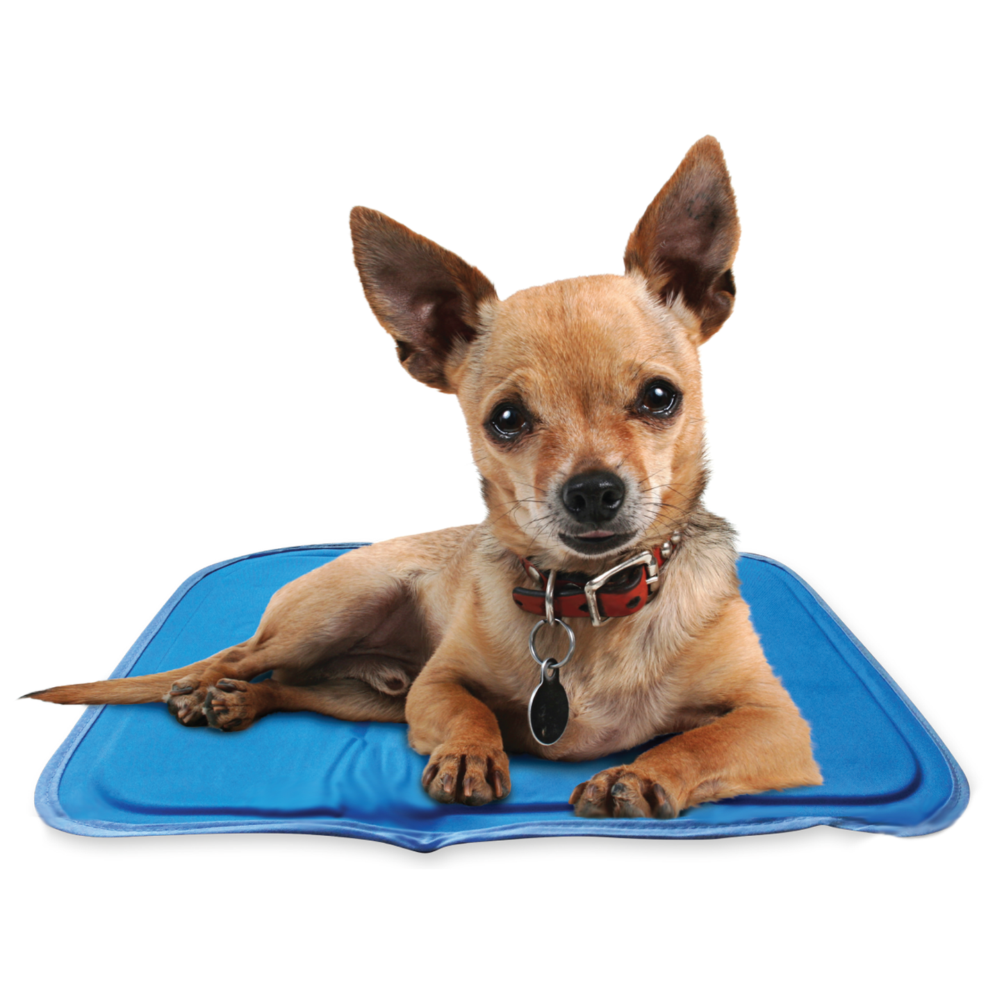 The Green Pet Shop - Cool Pet Pad