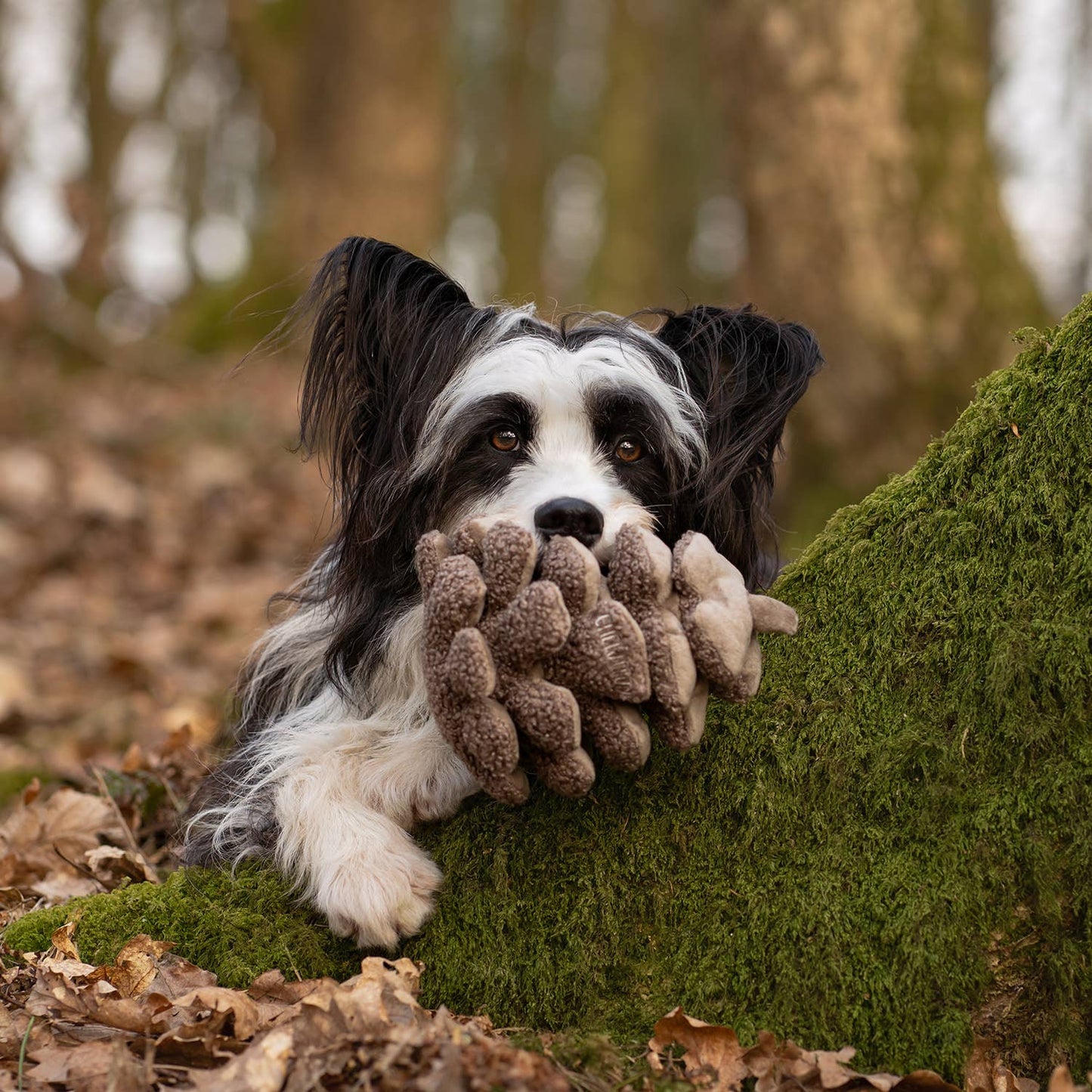 CHEWFFON - CHEWFFON Pinecone Snuffle & Squeak Dog Toy