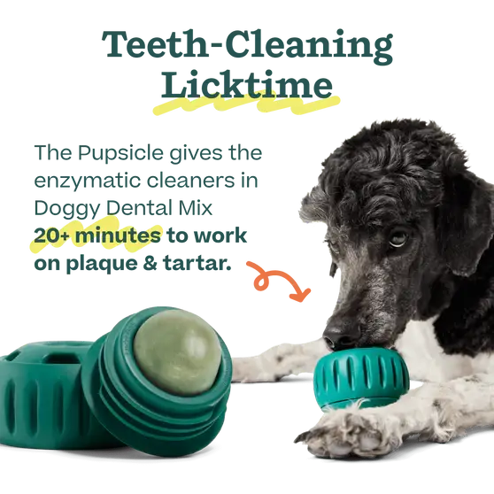 Woof - Pupsicle Mix- Doggy Dental - Doot's Pet LLC Collars For A Cause