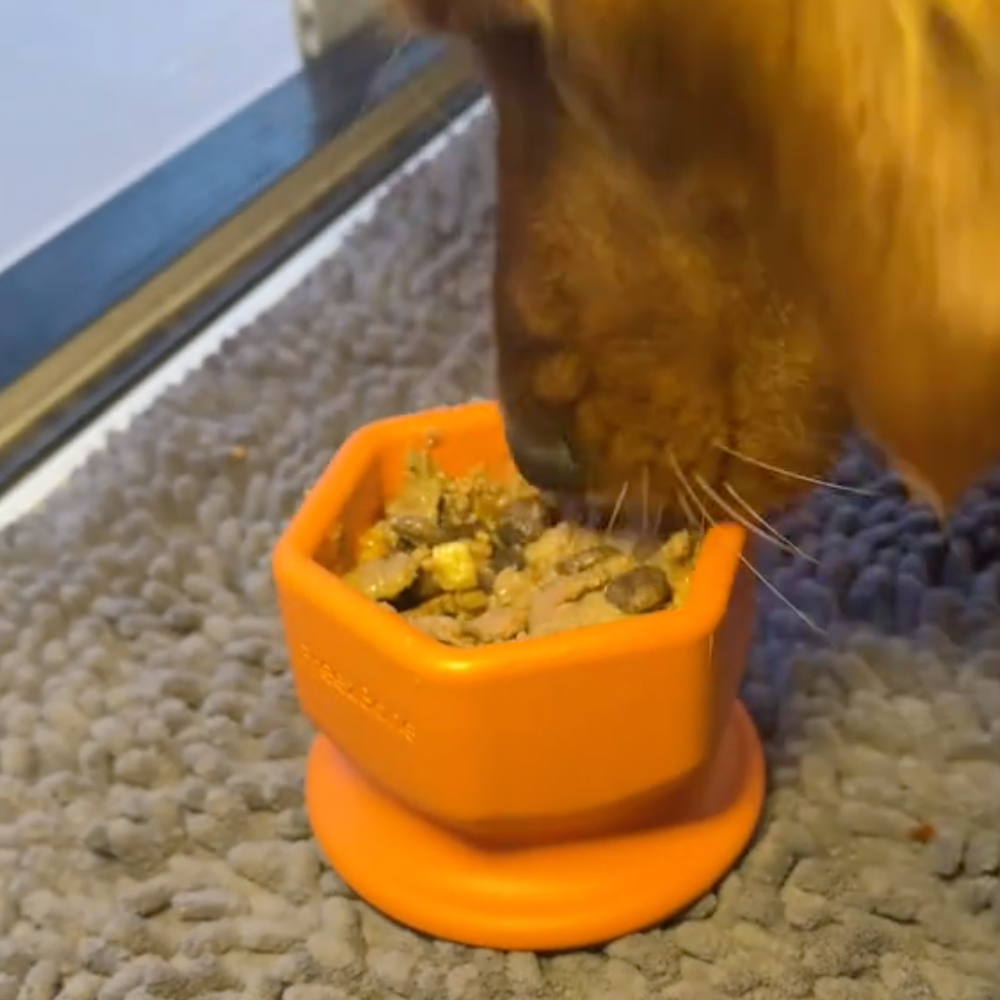 FreezCup - Long-Lasting Chew Fun - Doot's Pet LLC Collars For A Cause