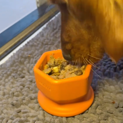 FreezCup - Long-Lasting Chew Fun - Doot's Pet LLC Collars For A Cause