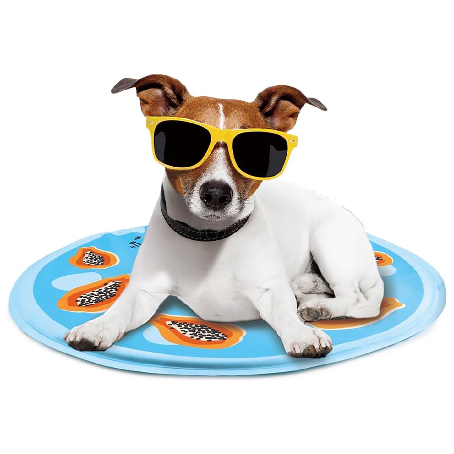 Chill Out - Dog Cooling Mat - Cooling Mat for Summer - Doot's Pet LLC Collars For A Cause