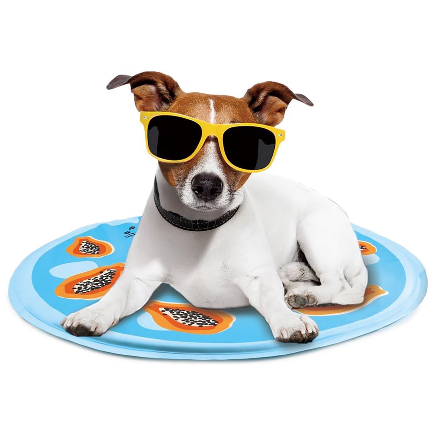 Chill Out - Dog Cooling Mat - Cooling Mat for Summer - Doot's Pet LLC Collars For A Cause