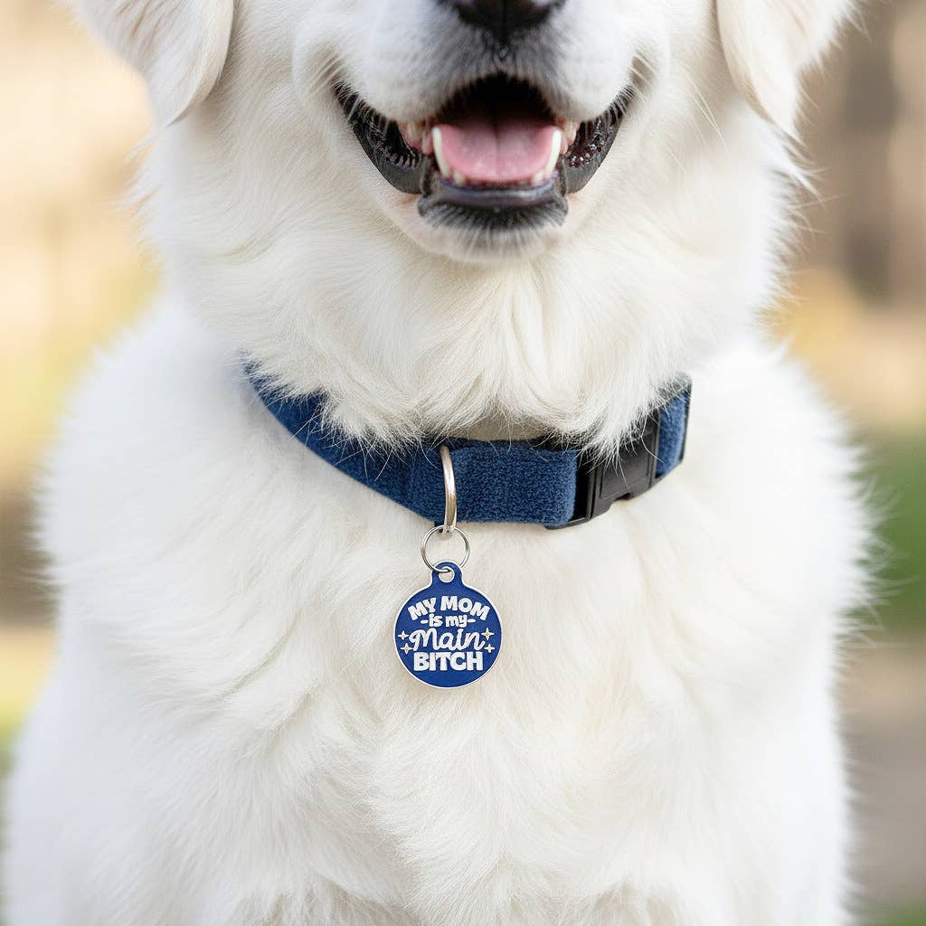 Bad Tags - Personalized Pet ID Tag w/Scannable Code - Mom my Main Bitch - Royal Purple / Engraved QR Code / Small 1"