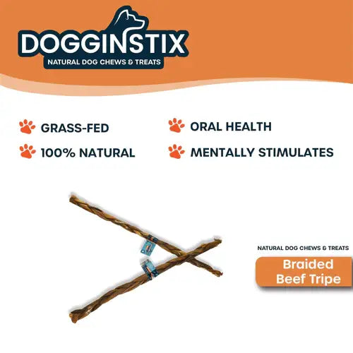 Doot's Chew Bar - Dogginstix - 24" Braided Beef Tripe Sticks