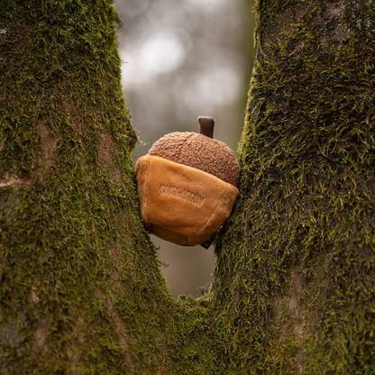 CHEWFFON - CHEWFFON Acorn Snuffle & Squeaky Dog Toy