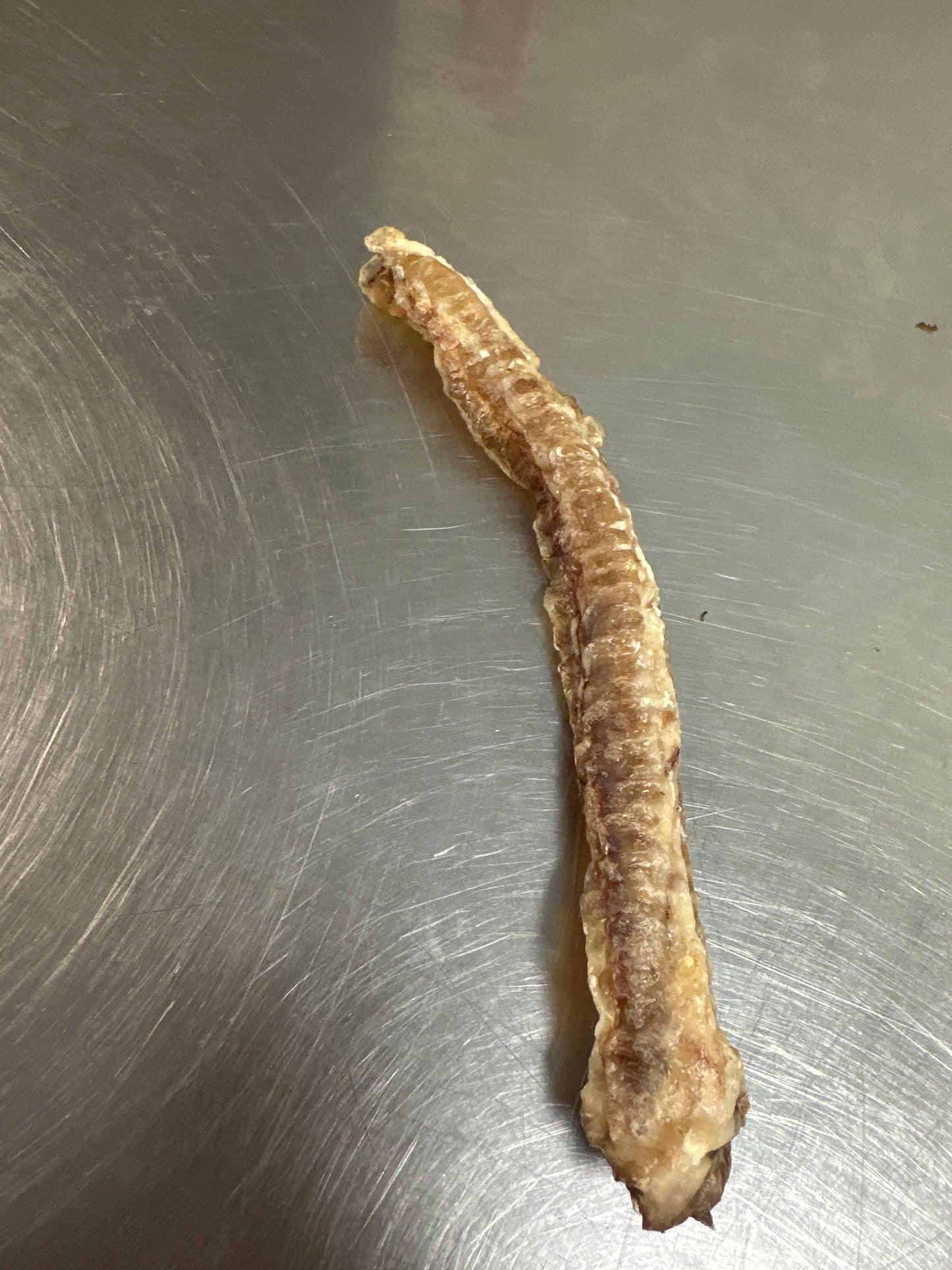 Doot's Chew Bar - Goat Trachea