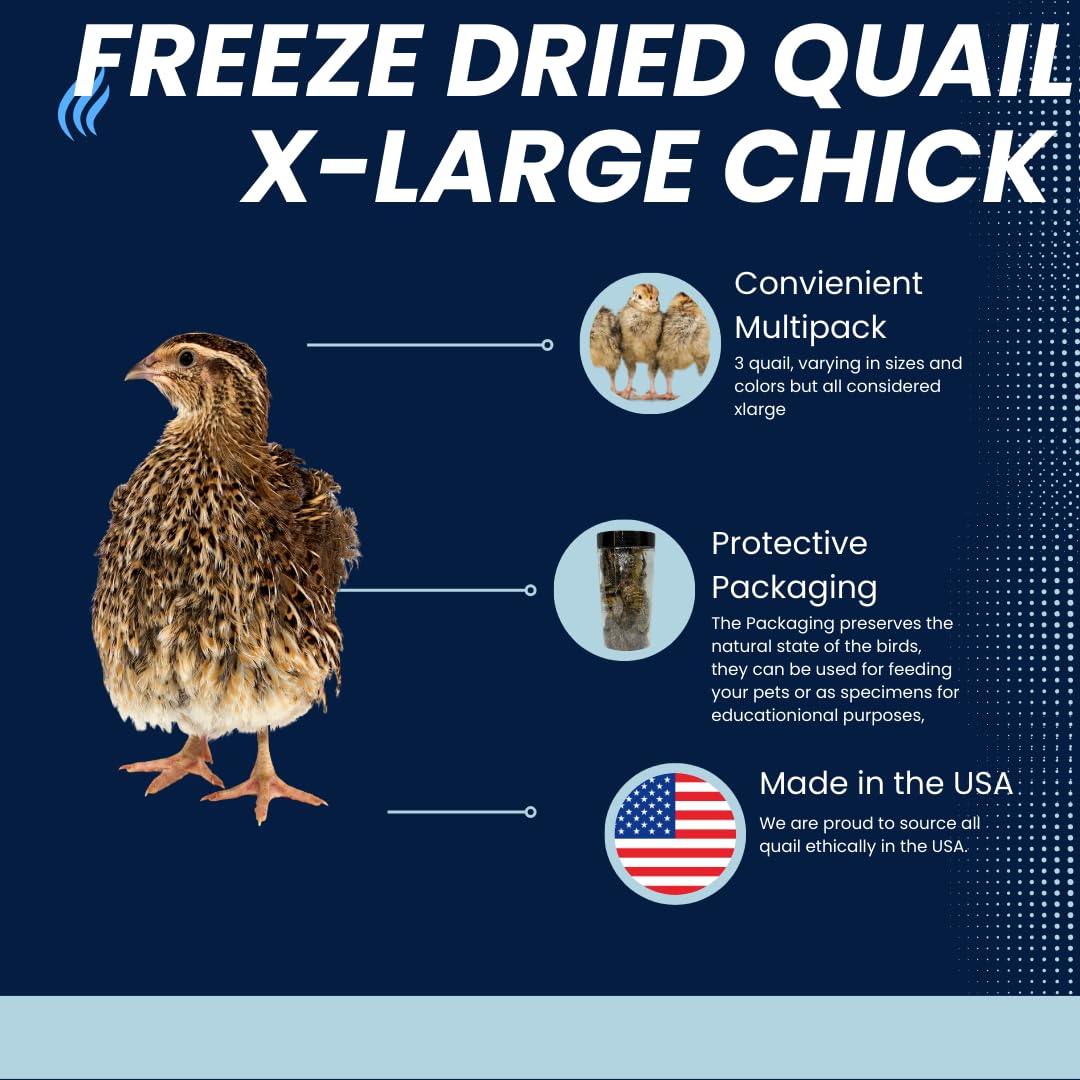 Buddy's Pretty Birds Whole Quail Chicks XL, 3 Count - Doot's Pet LLC Collars For A Cause