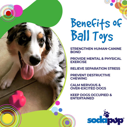 SodaPup - SP Crazy Bounce- Chew Toy - Retrieving Toy - Large Pink - Pink