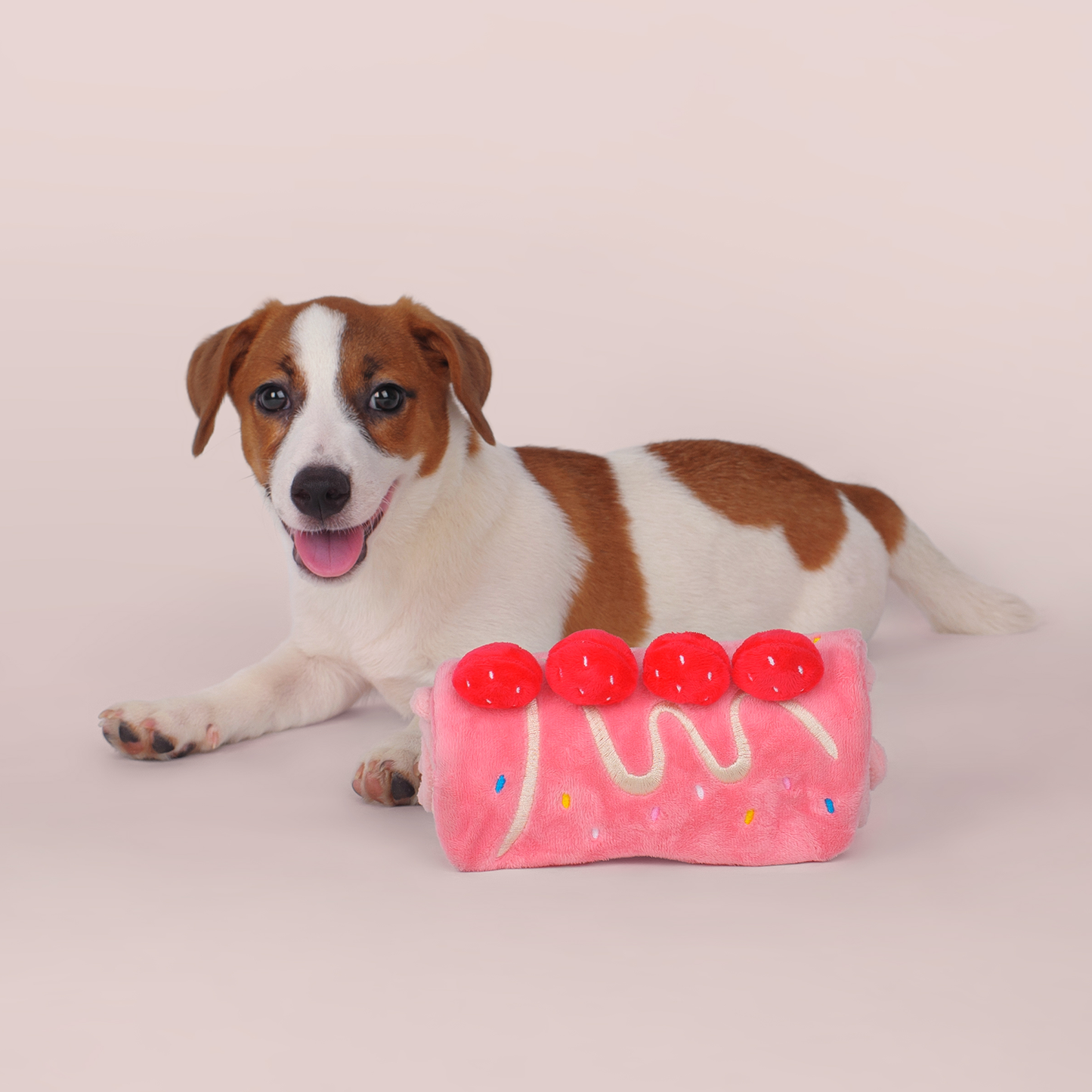 CHEWFFON - CHEWFFON Strawberry Roll Cake Dog Puzzle Toy