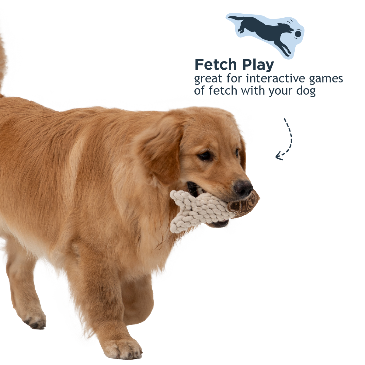 Tall Tails - Natural Leather Crunch Fish Rope Dog Toy