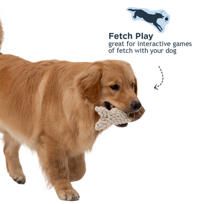 Tall Tails - Natural Leather Crunch Fish Rope Dog Toy