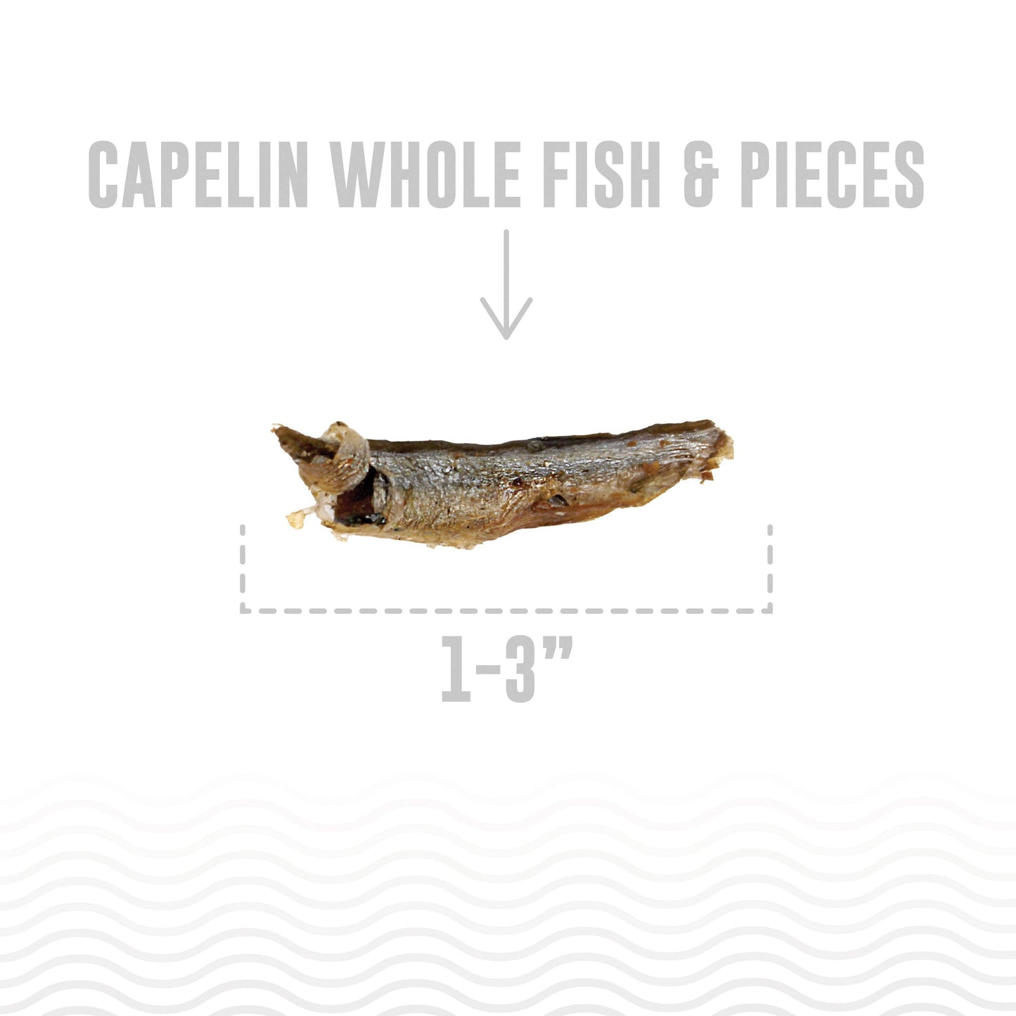 Icelandic+ - Capelin Whole Fish & Pieces Dog Treats