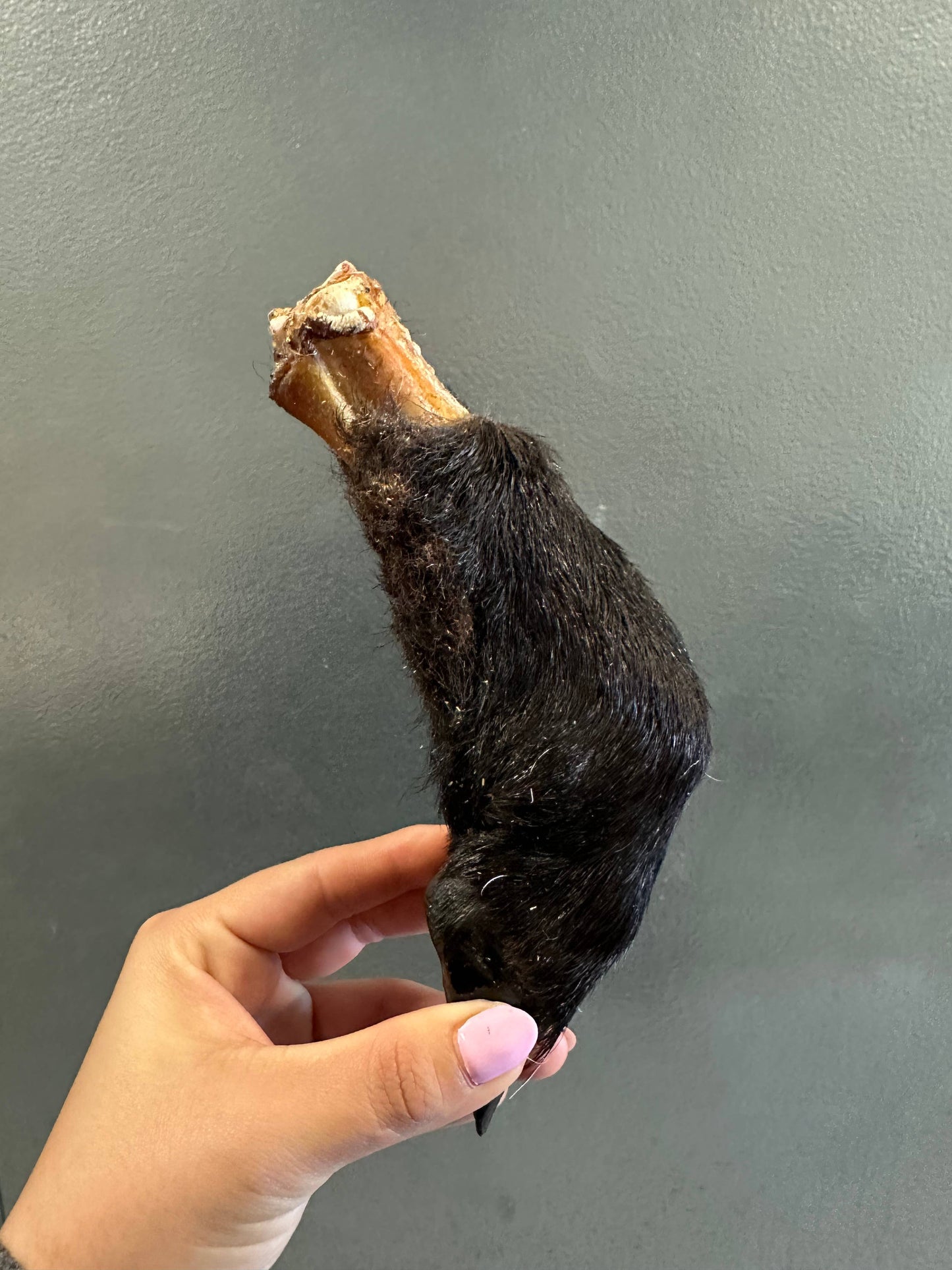 Doot's Chew Bar - Lamb Trotter With Fur