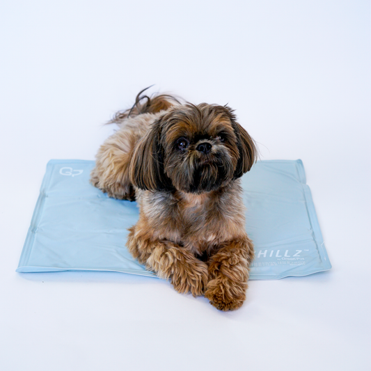 The Green Pet Shop - Chillz Gel Mat