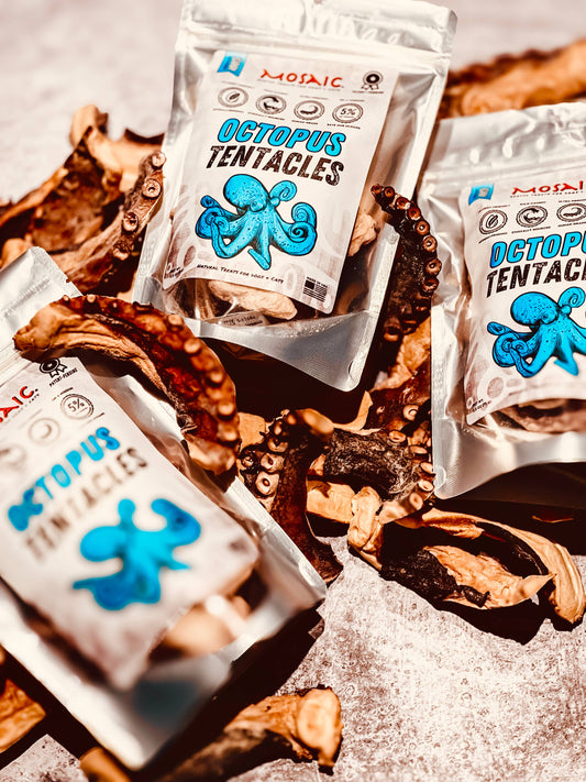 Mosaic Pet Food - Mosaic® Freeze-Dried Wild Octopus Tentacles, 2.5 oz