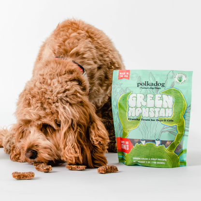 Polkadog Green Monstah Bone Shaped Crunchy Dog & Cat Treats