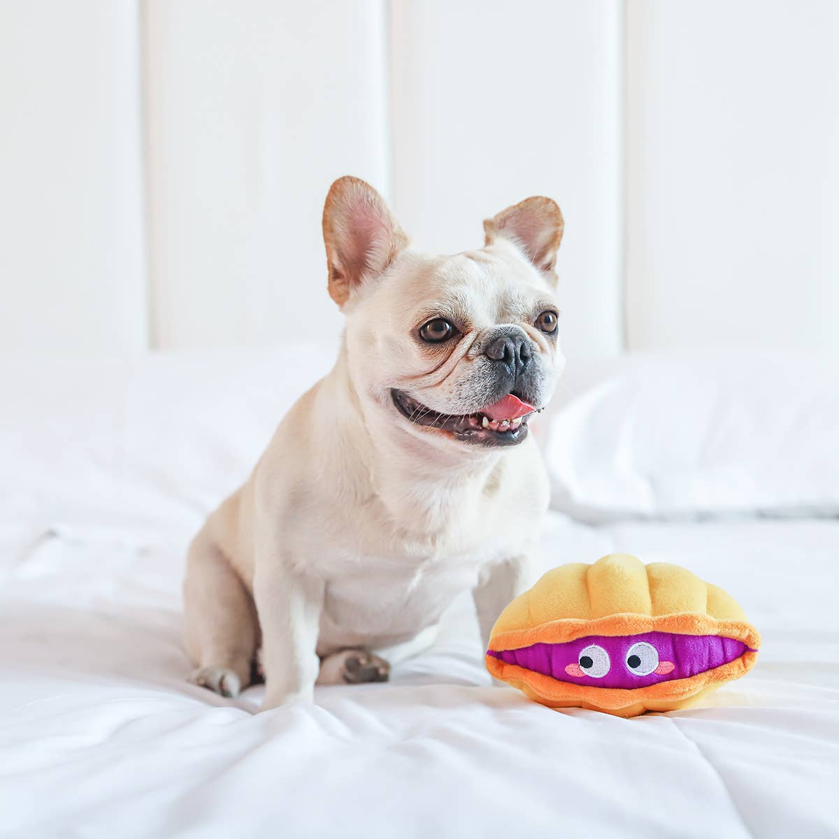 Hugsmart Products Inc - HugSmart Pet - Ocean Pals | Clam - Dog Plush Toy